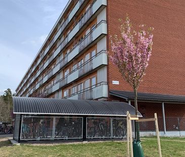 Trädgårdsgatan 50 A - Foto 5