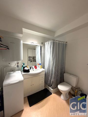 Location Appartement 1 pièce 22m² - Photo 4