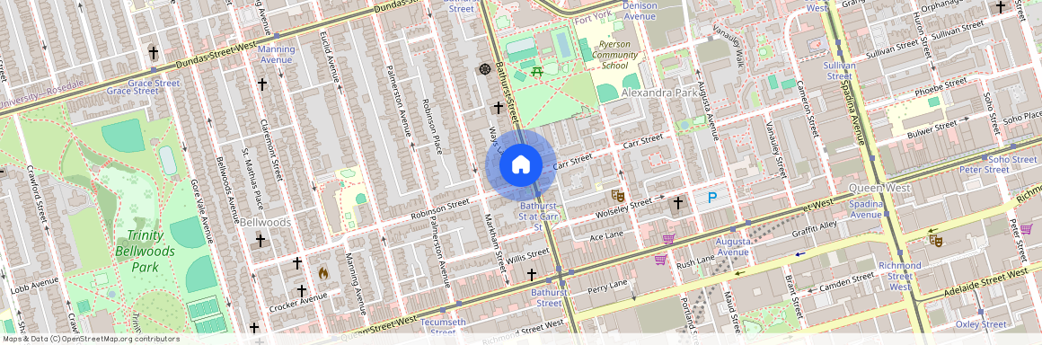 234 Bathurst Street Unit# BSMNT, Toronto