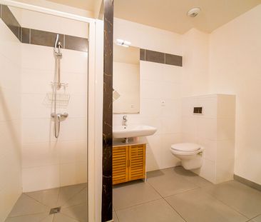 Location Appartement 1 pièce 22m² - Photo 3