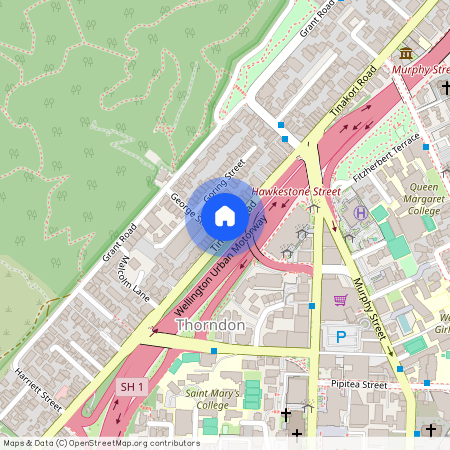 132 Tinakori Road, Thorndon, Wellington City