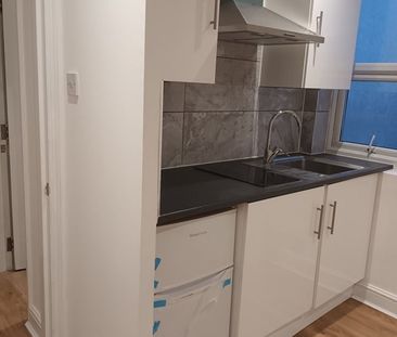 Studio Flat, Berrymead Gardens, W3 - Photo 6