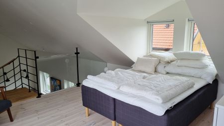 Skånegatan, Halmstad - Photo 5