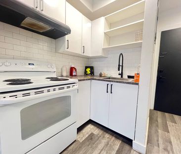 1 CH - 1 SDB - Montréal - $1,250 /mo - Photo 2