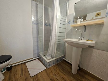 Location Appartement 1 pièce 10m² GRENOBLE 38000 - Photo 3