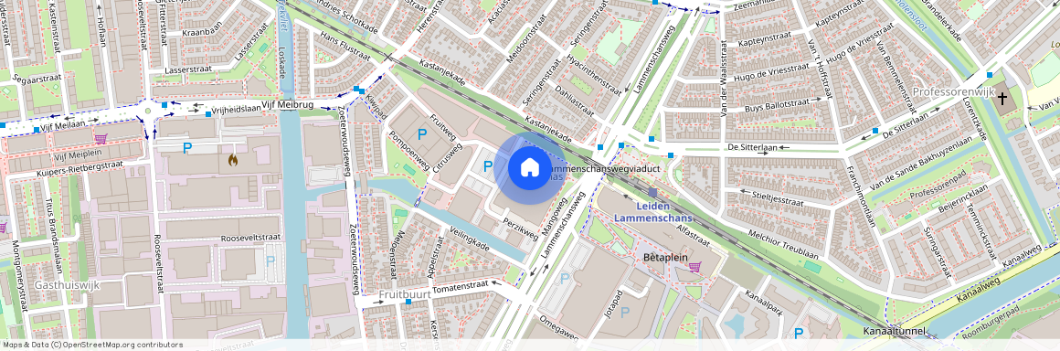 Ananasweg 176, 2321DC, Leiden