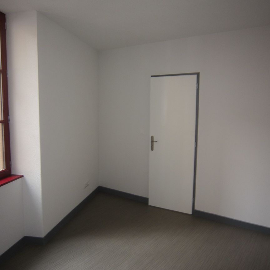Location Appartement 1 pièce 35m² CHARLIEU 42190 - Photo 1