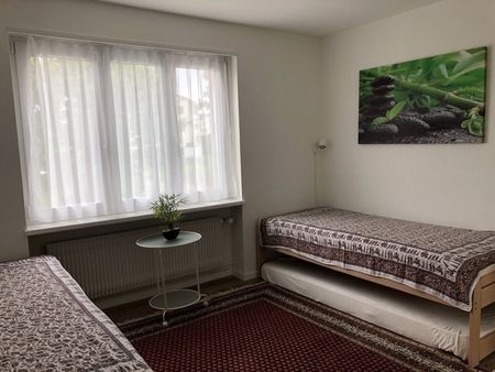 3 ROOM APARTMENT IN RAPPERSWIL (SG), FURNISHED, TEMPORARY - Photo 3