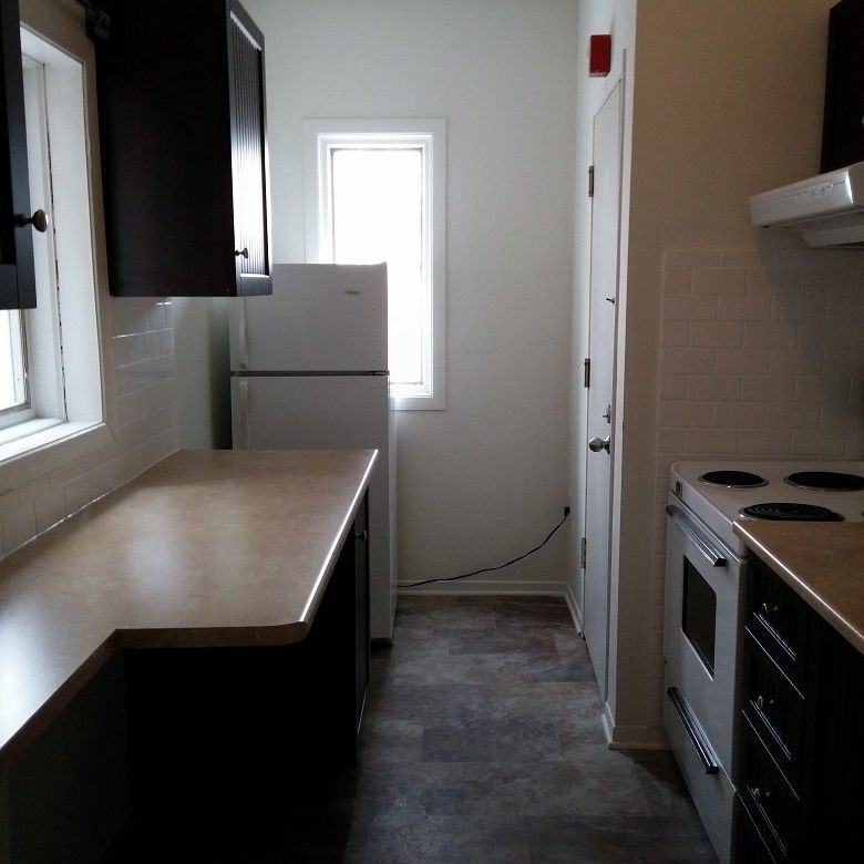 3 - 225 St. Patrick Street - Photo 1
