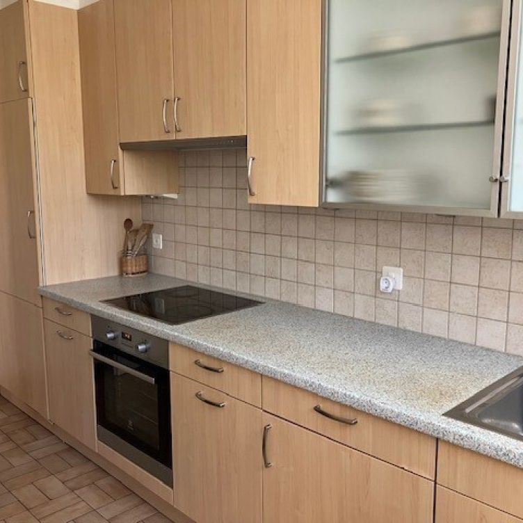 Villa de 6 pièces à louer au Grand-Saconnex - Foto 1