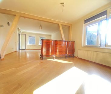 Am Tor zur Wachau wohnen, wo andere Ferien machen... Garten und Don... - Photo 3