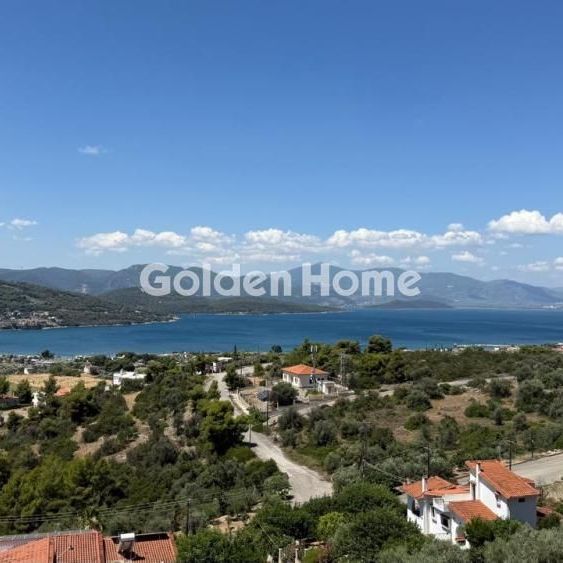 Μονοκατοικία για ενοικίαση Θεολόγος (Μαλεσίνα) - Φωτογραφία 1