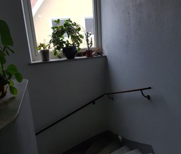 Linnégatan, Limhamn - Foto 5