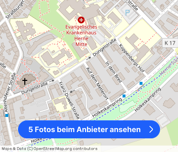 Auf dem Metlerort 8, 44629 Herne - Foto 1