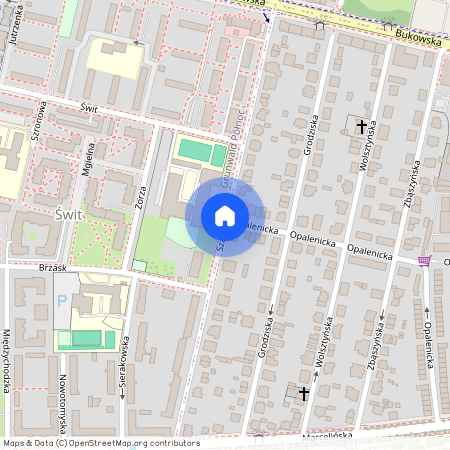 ul. Szamotulska, Grunwald, Grunwald, Poznań, wielkopolskie