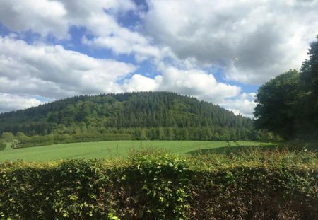 1 bedroom bungalow to rent - Photo 3