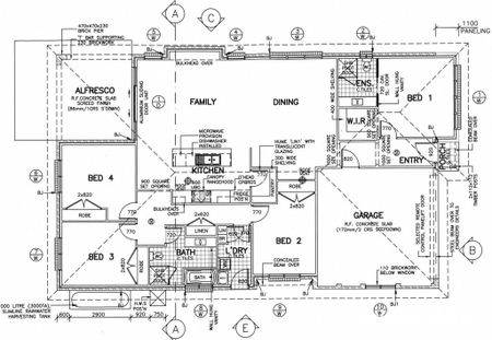 Beauty On Bowerbird - Photo 5