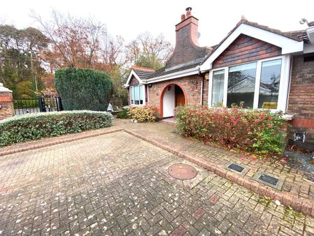 Brighton Lodge, Foxrock, Dublin 18 - Photo 3