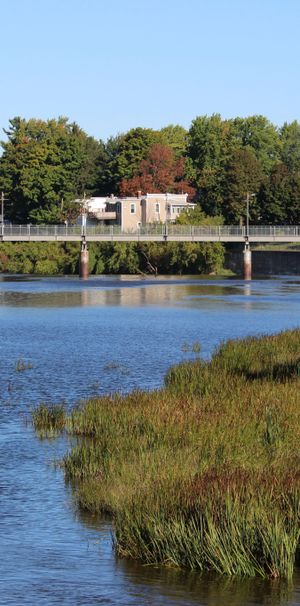 3 ½ à Louer, Beau Secteur! - Photo 1