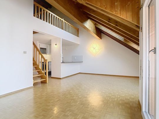 Beautiful duplex in the attic - Photo 1