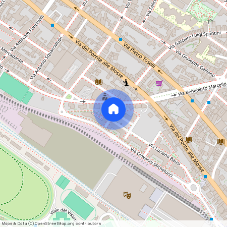 Via Vittorio Gui, Florence, Tuscany 50144