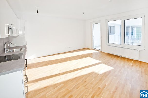 Ruhige Wohnung mit Balkon & Blick auf den Kahlenberg - Photo 1