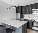 658 Somerset Street West, Centretown, Ottawa, ON - Photo 6