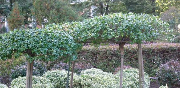 Rideau Towers - Photo 2