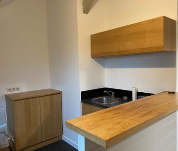 Location Appartement 1 pièce 25m² NANTES 44000 - Photo 2