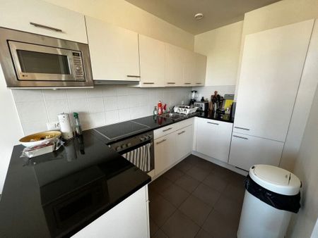 Superbe duplex de 4,5 pièces, Centre de Genève - Foto 3