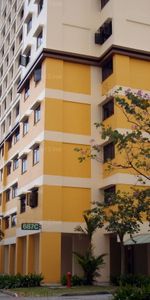 Blk 687C Choa Chu Kang Drive (Choa Chu Kang), HDB 4 Rooms - For Rent - Photo 3