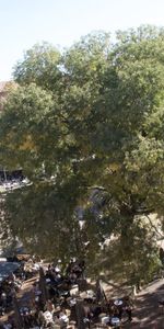 Location Appartement 4 pièces 118m² TOULOUSE 31000 - Photo 4