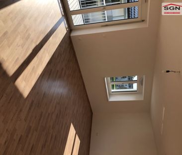 Moderne Traumwohnung mit Balkon und Carport in Schwarzau am Steinfeld - Photo 3