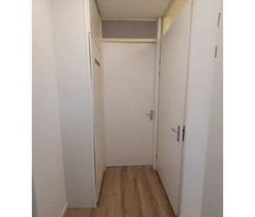 Blauwe Kei - Photo 4