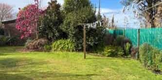Sunny and Private Two Bedroom Retreat - Photo 2