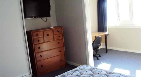 Furnished City Room - Available Now! - Photo 3