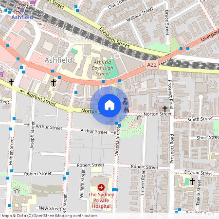 9 Victoria St, Ashfield, Sydney, New South Wales 2131