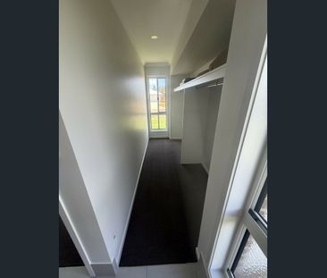 12 Oregano Pl, Bargara, Qld 4670 - Photo 3