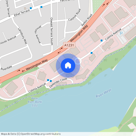 at Wellington Park, 12 Wigham Close SR5