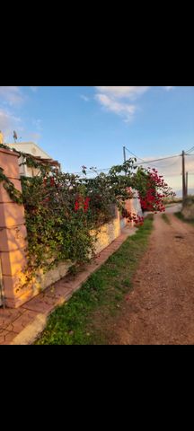 Μονοκατοικία για ενοικίαση - Ερέτρια, - Photo 4