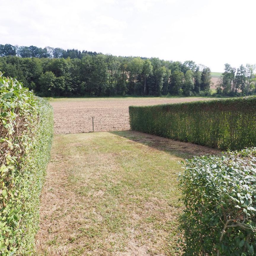 Gemütlicher Rückzugsort im ehemaligen Bauernhof - 2- Zimmer Wohnung mit Garten in Neuhofen - Photo 1