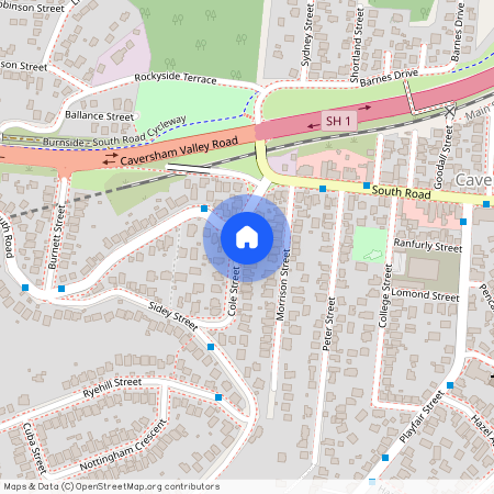 9 Cole Street, Caversham, Dunedin City