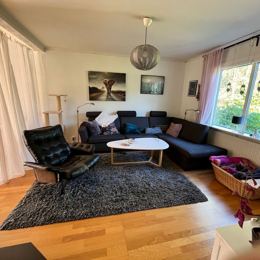 Stenarna, Munkedal - Foto 1