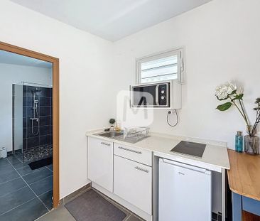 Location Appartement 1 pièce 25m² REMIRE MONTJOLY 97354 - Photo 3