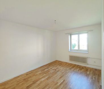 Gemütliche Wohnung nahe des Rheinfalls - Photo 3