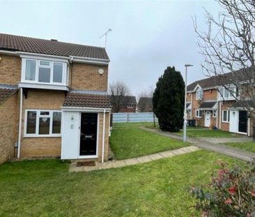 Coltsfoot green - Photo 6