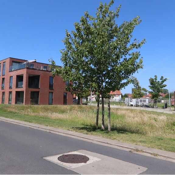 Recente 3-slaapkamerwoning met garage en tuin te huur in Izegem - Photo 1