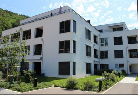 Moderne 3.5-Zimmerwohnung in Liestal gesucht? - Foto 4