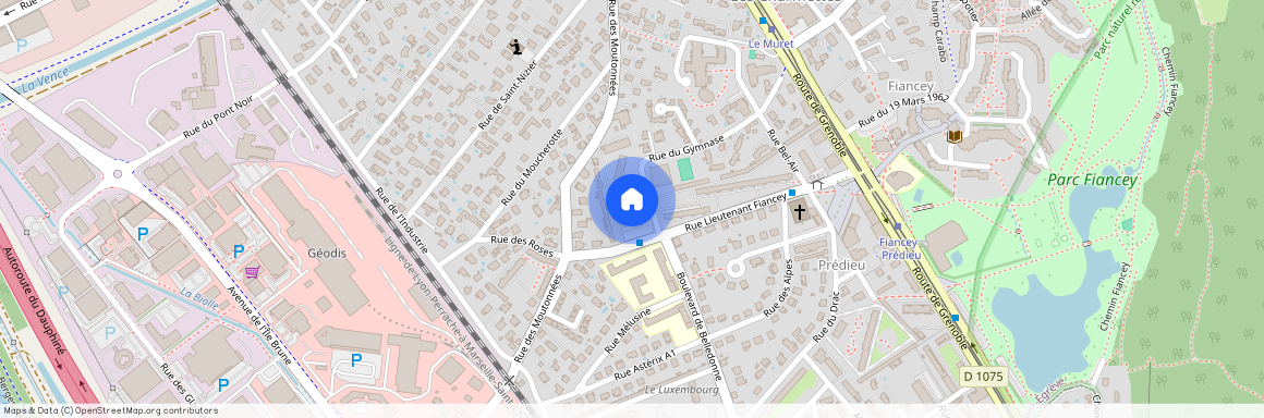 36 Rue Lieutenant Fiancey St, Egreve