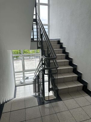 ++Frisch sanierte Familienwohnung mit Aufzug++ - Photo 1